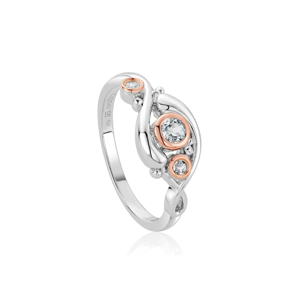 Clogau dwynwen 2025